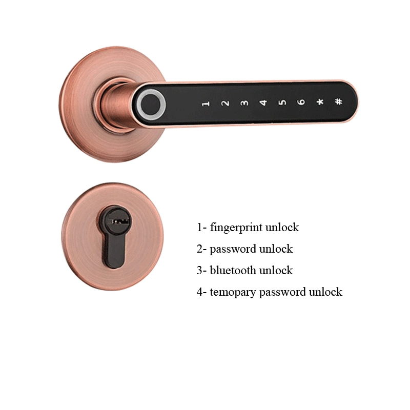 55X72 Magnetic Lockbody Rossette Fingerprint Lock