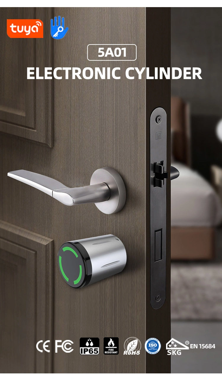 Jixin Best Digital Combination APP Cards Smart Lock Cylinder with Handle