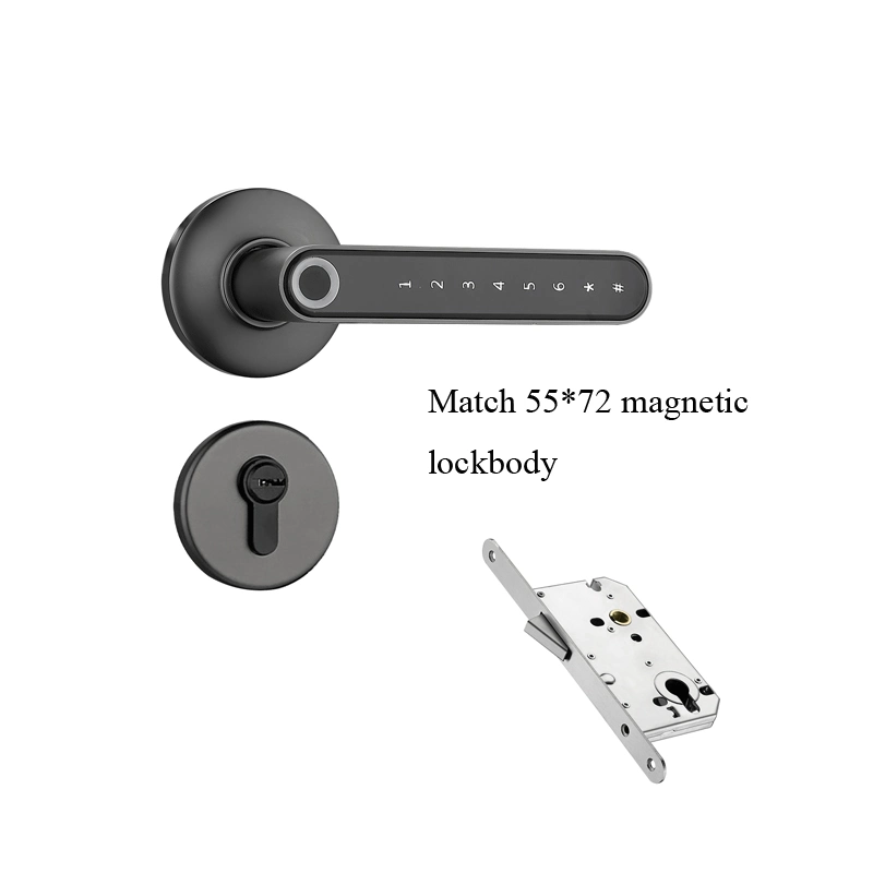 55X72 Magnetic Lockbody Rossette Fingerprint Lock