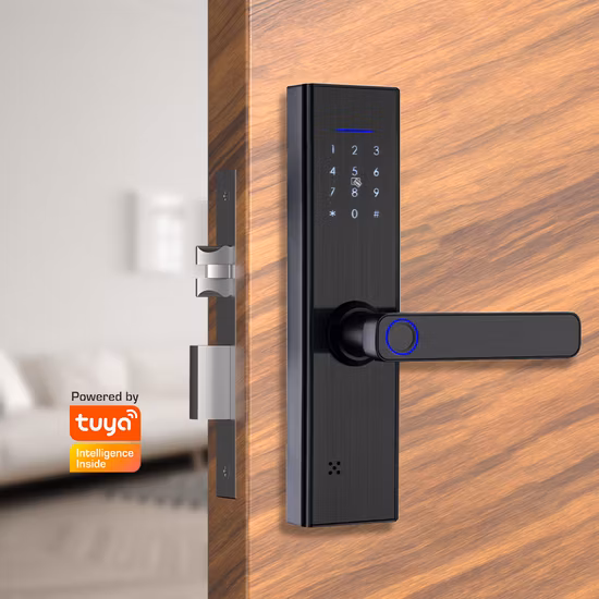 Tuya WiFi Electronic Smart Lock with Fingerprint/ Password/ Card/ Key Unlock
