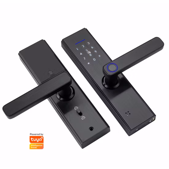 Tuya WiFi Electronic Smart Lock with Fingerprint/ Password/ Card/ Key Unlock