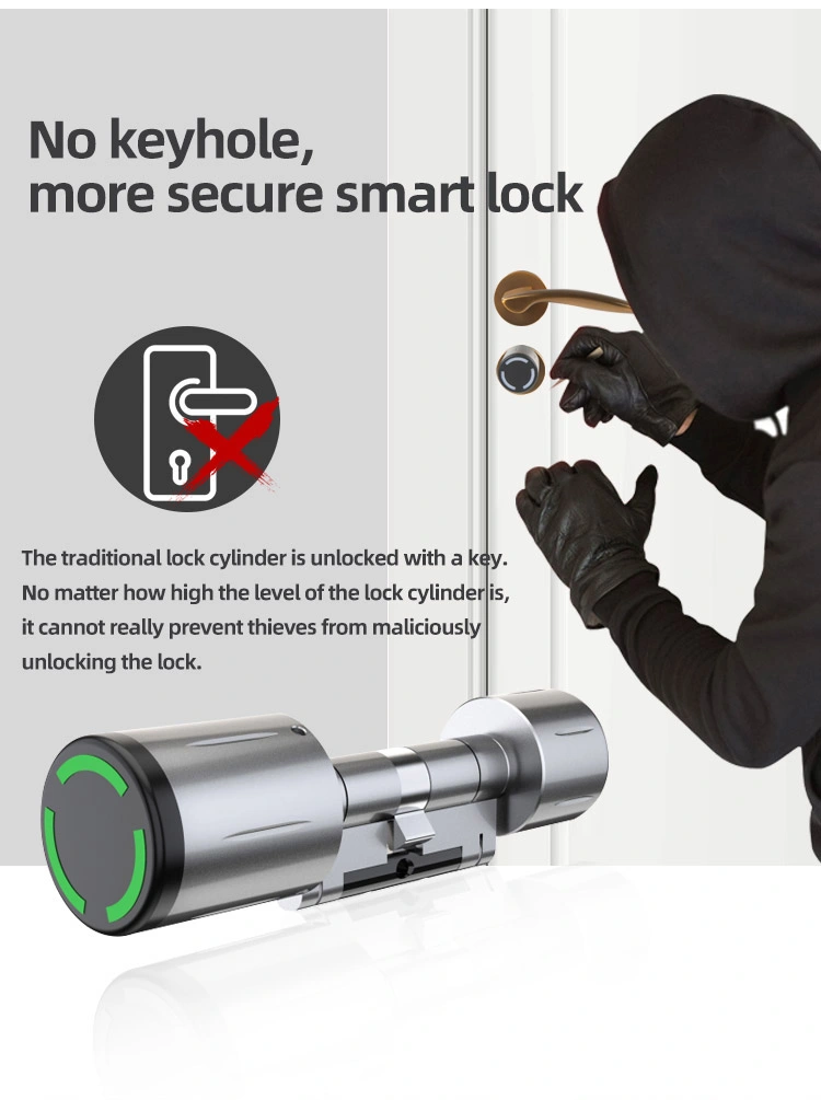 Jixin Best Digital Combination APP Cards Smart Lock Cylinder with Handle