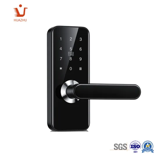 Intelligent Lock IC Card Password Bluetooth Mechanical China OEM Factory 