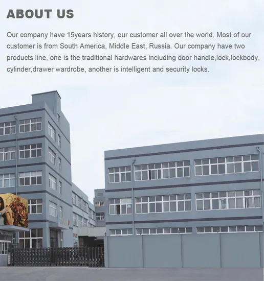 One Fingerprint Open Color Screen Smart Door Lock 