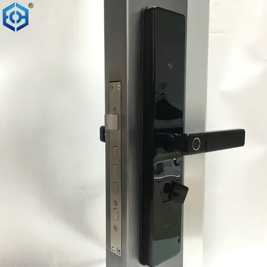 Black Smart Electronic Home Security Biometric Digital Door Lock 