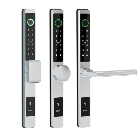 European Style Slim Fingerprint Digital Door Lock with 2885 Mortise 