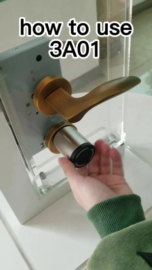 China Hot Sale Good Quality Smart Cylinder Lock Lock Set Mechanical Door Lock