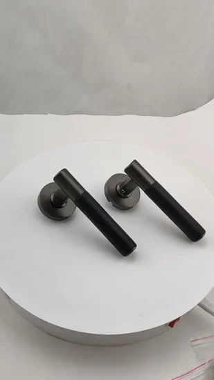 Modern Smiple Style Zinc Alloy Square Lever Door