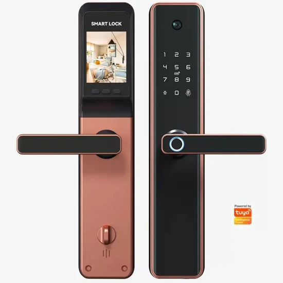3D Face Recognition Fingerprint Smart Door Lock Smart Home Lock Door Tuya & Ttlock Supported
